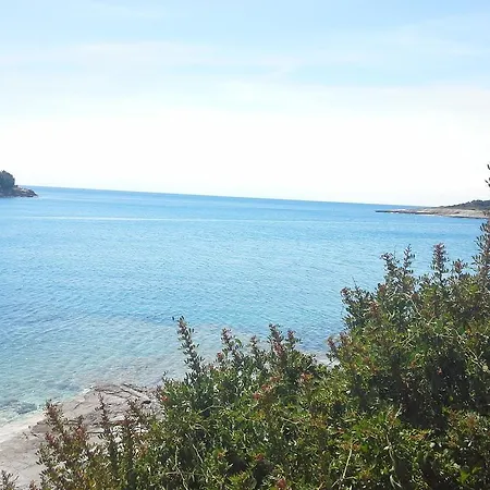 Greta,50 Meters To The Apartman