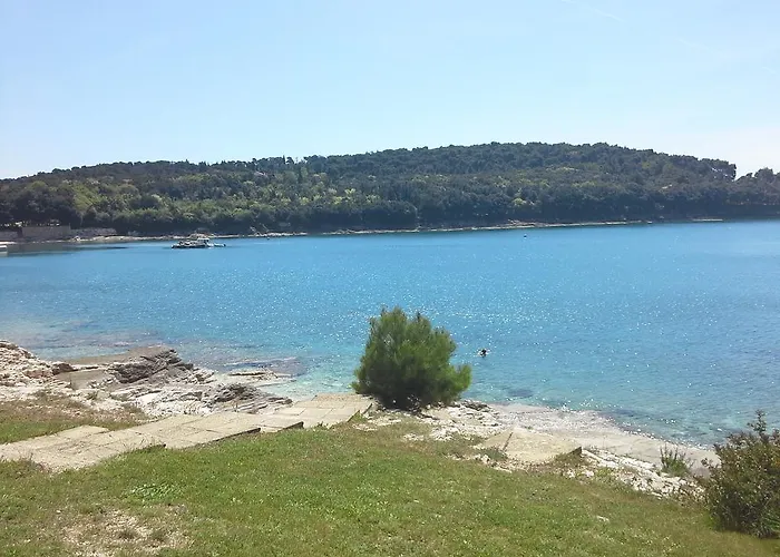 Greta,50 Meters To The * Banjole