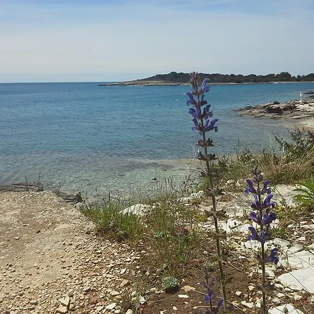 Greta,50 Meters To The 公寓