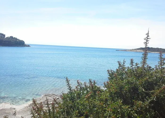 Greta,50 Meters To The 公寓