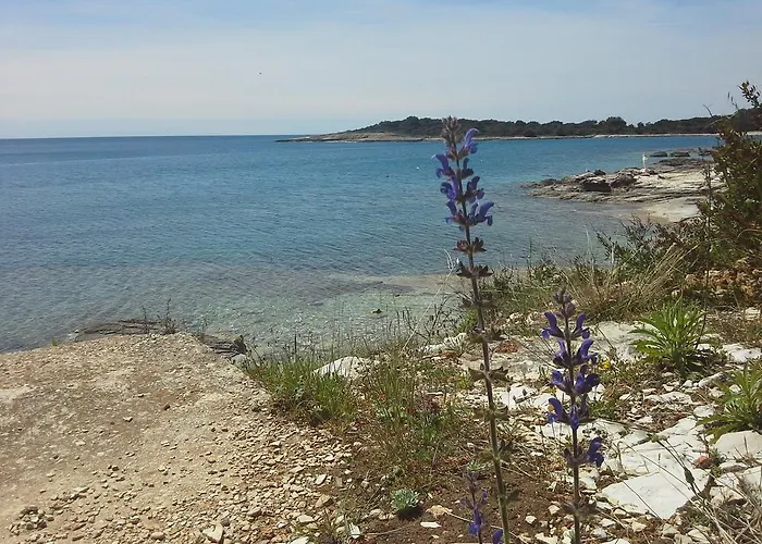 Greta,50 Meters To The 公寓